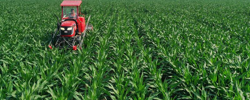 玉米使用氮磷钾的比例，春玉米比例为1：0.3：0.5