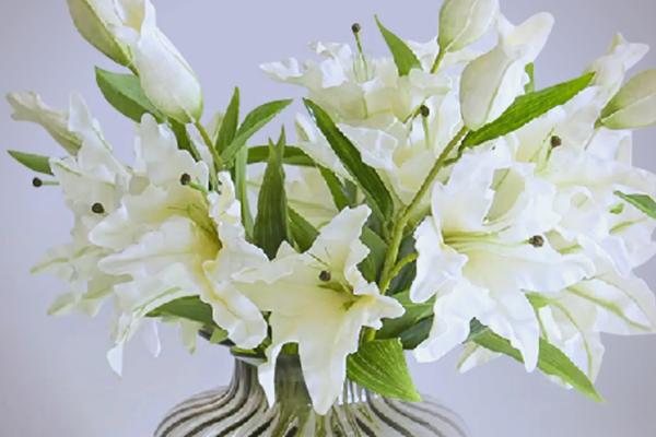 香水百合有没有毒，本身无毒但香味可能危害人体