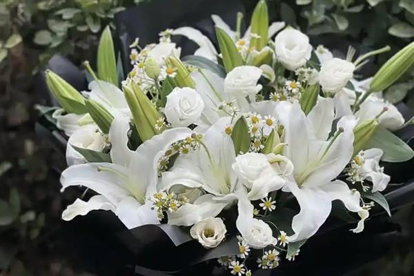 百合花什么季节开，全年几乎都可开花