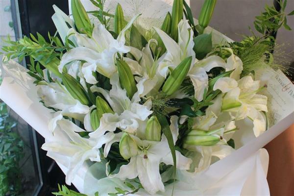 百合花什么季节开，全年几乎都可开花