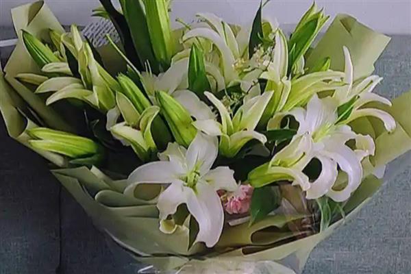 百合花什么季节开，全年几乎都可开花