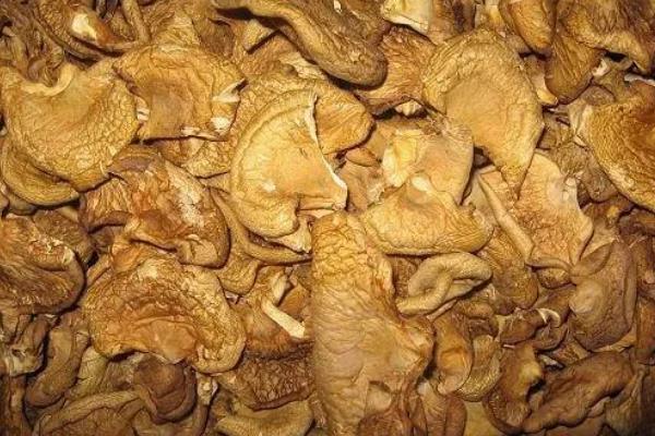 元蘑和榛蘑哪个好吃，根据个人口味选择