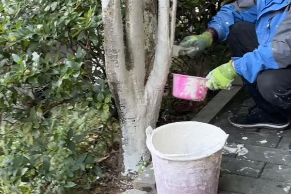 怎么防止羊吃树上的叶子，可喷洒丙溴磷