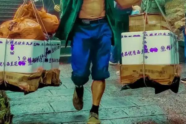 黄鳝苗怎么养殖，投喂量为黄鳝体重的1-2%
