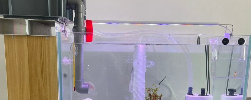水族箱过滤器的种类，有上滤、底滤等