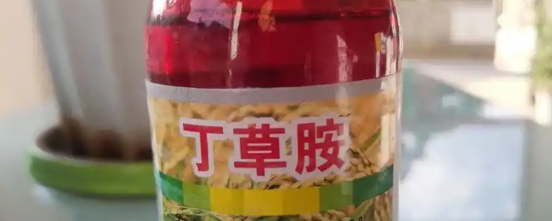 玉米田除草剂常用产品介绍，常见的有阿特拉津、莠去津等