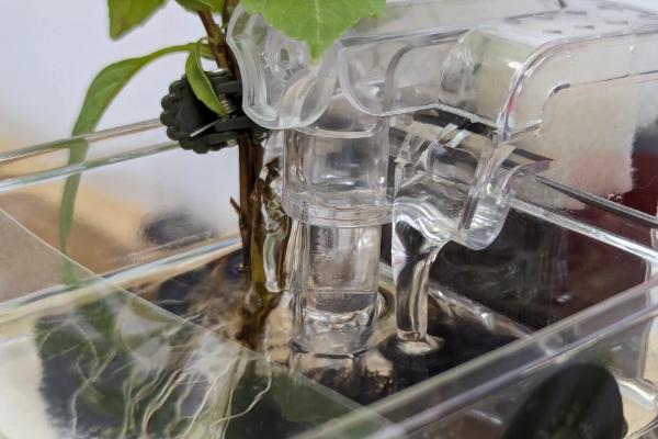 水族箱过滤器的种类，有上滤、底滤等