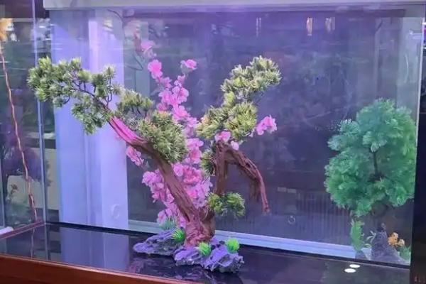 水族箱过滤器的种类，有上滤、底滤等