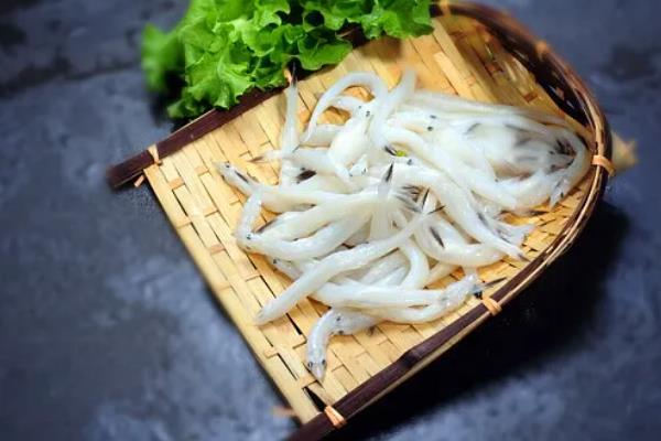 海银鱼与淡水银鱼有什么区别，二者是同一物种只是捕捞地不同