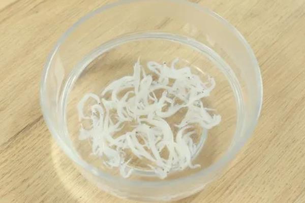 海银鱼与淡水银鱼有什么区别，二者是同一物种只是捕捞地不同