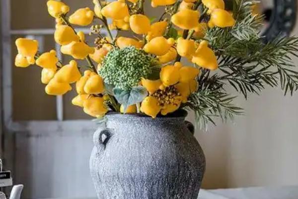 黄金果插花瓶要水吗，黄金果插花瓶需要水