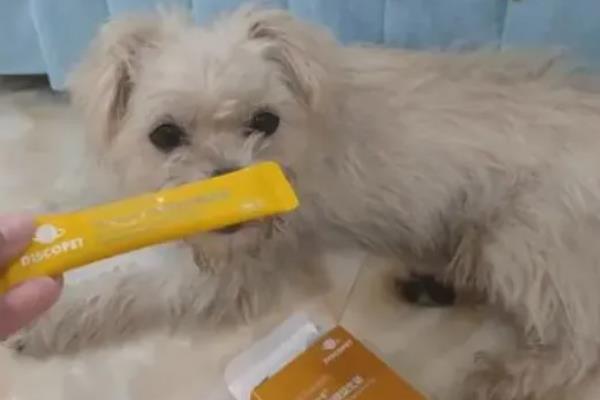 让狗狗快速消化骨头的方法，补充纤维素可以加快消化速度