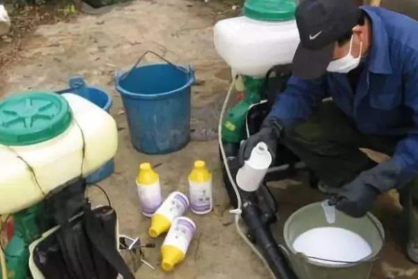 除草剂应该兑多少水，10克草甘膦可兑水3-5斤