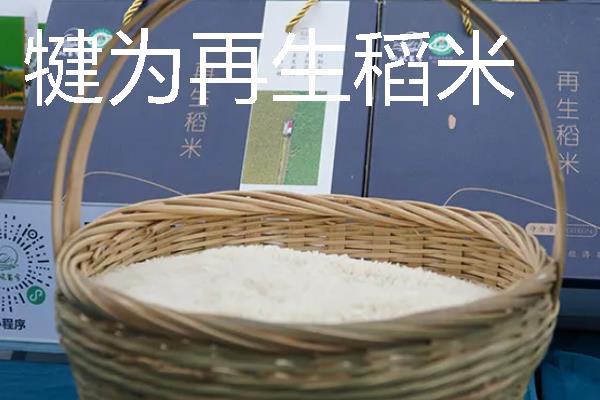 四川犍为县的特产，犍为麻柳姜品质优良