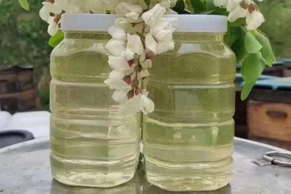 农村的洋槐木用途，枝条可做成果园围墙花朵可食用