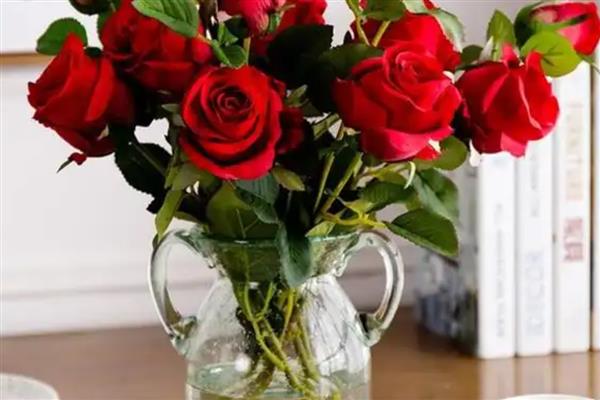 水养玫瑰花垂头了如何补救，需要为其换一次清水