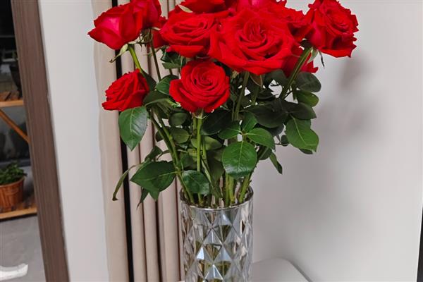 水养玫瑰花垂头了如何补救，需要为其换一次清水