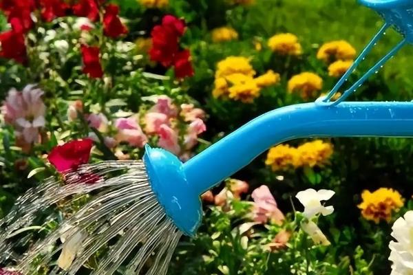蓝雪花在几月发芽，在3月份发出新芽