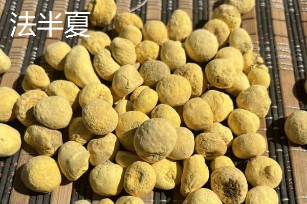 生半夏法半夏姜半夏清半夏有什么区别，不同种类的炮制方法各不相同