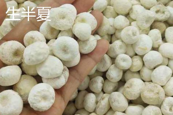 生半夏法半夏姜半夏清半夏有什么区别，不同种类的炮制方法各不相同