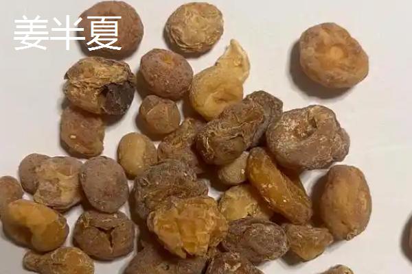 生半夏法半夏姜半夏清半夏有什么区别，不同种类的炮制方法各不相同