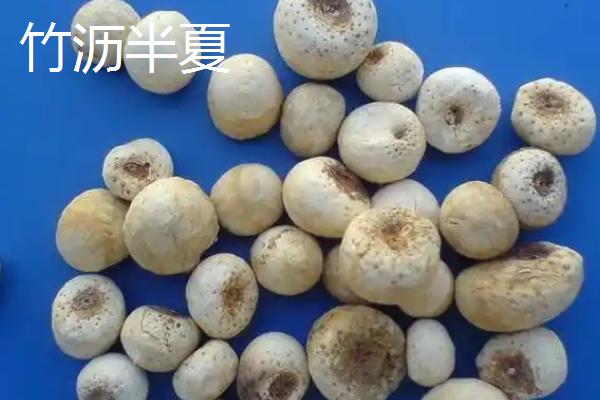 生半夏法半夏姜半夏清半夏有什么区别，不同种类的炮制方法各不相同