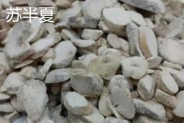 生半夏法半夏姜半夏清半夏有什么区别，不同种类的炮制方法各不相同