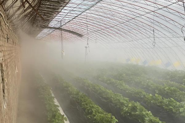 10月份管理蔬菜的方法，做好应季蔬菜的换茬工作才能不误农时