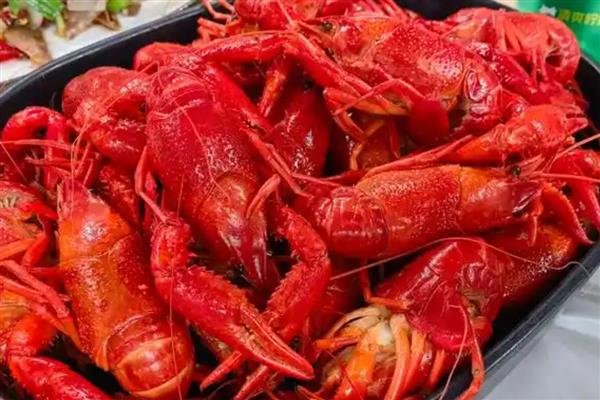 有哪些水产动物，包括鱼类、虾类等