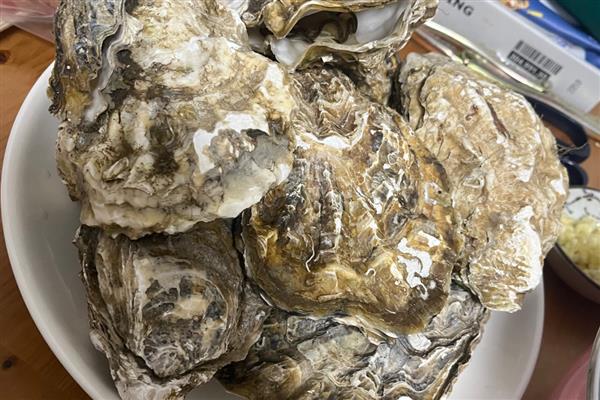 有哪些水产动物，包括鱼类、虾类等