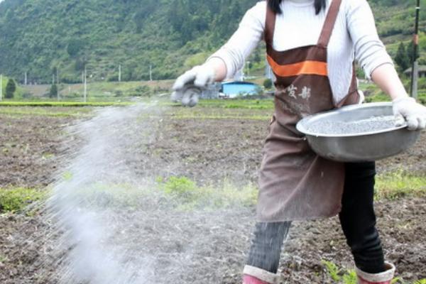 哪些施肥方式不合理，常见以下四种情况
