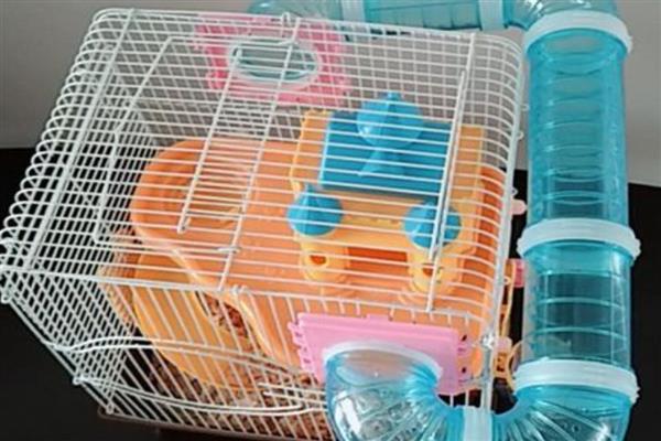 仓鼠笼的设计要点，会配置爬道、滚轮和躲避屋等