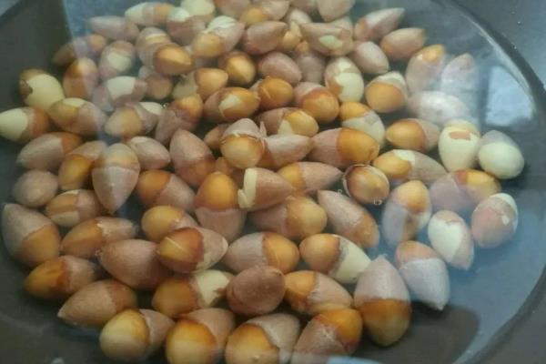 怎么吃银杏果，可蒸煮、翻炒等弄熟后食用
