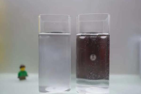 水培绿萝的养殖方法，使用透明且口径较大的玻璃花瓶