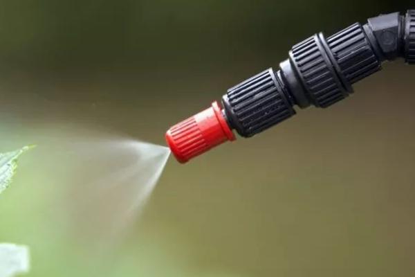怎么种植丝瓜，结果后期需补肥3-4次