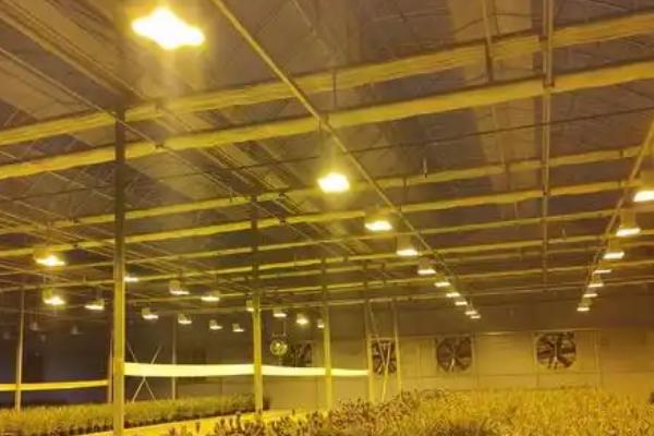 大棚取暖灯的亩用量，一般需要安装30个左右