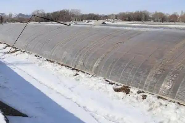 大棚取暖灯的亩用量，一般需要安装30个左右