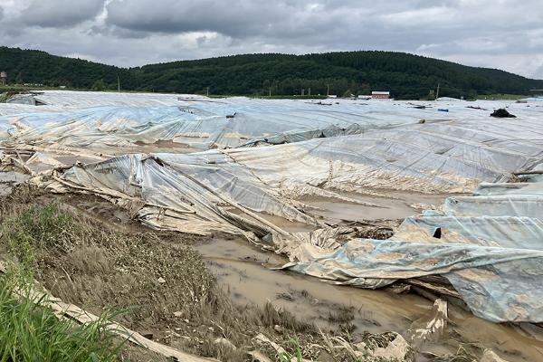 大棚取暖灯的亩用量，一般需要安装30个左右