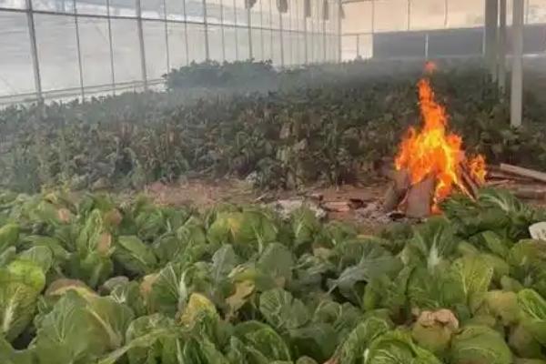 大棚取暖灯的亩用量，一般需要安装30个左右