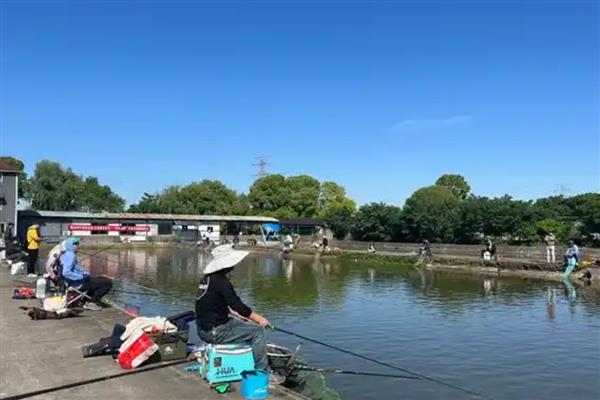 5号千又钩可以钓多重的鱼，通常能钓获8斤以内的鱼类