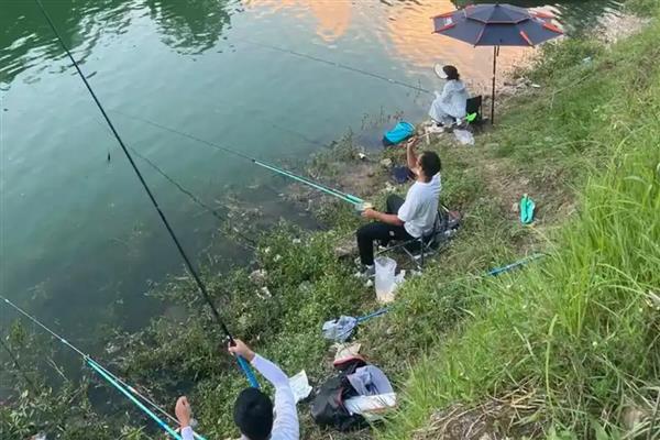 5号千又钩可以钓多重的鱼，通常能钓获8斤以内的鱼类