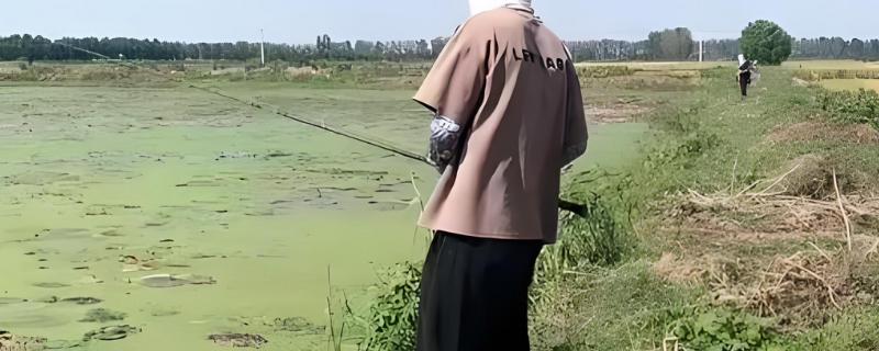 专钓黑鱼的手竿，常见的有溪流竿、鲇竿等