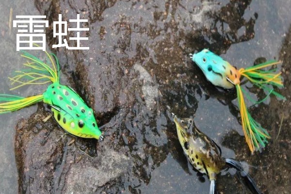 专钓黑鱼的手竿，常见的有溪流竿、鲇竿等