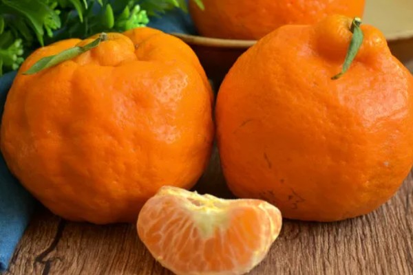 粑粑柑是丑橘吗,粑粑柑不是丑橘