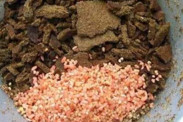 钓白条鱼的技巧，最好用的鱼钩是七星钩