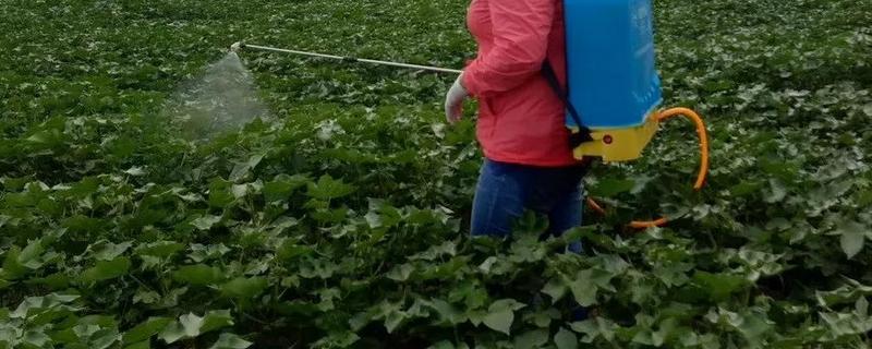 灭多威如何使用，针对不同害虫的使用方法不同