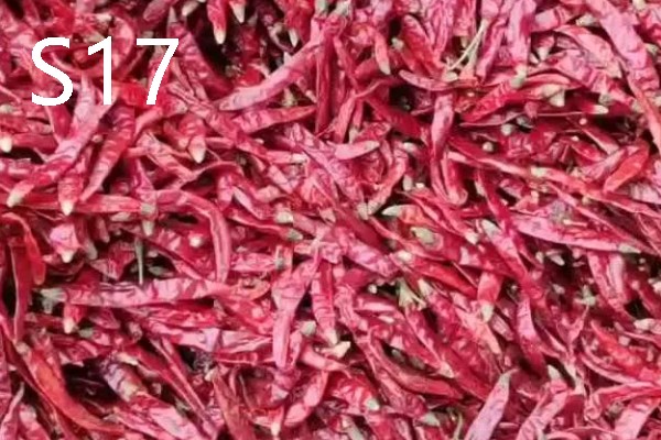 印度椒在什么时候产新，集中在每年的5-9月份采收