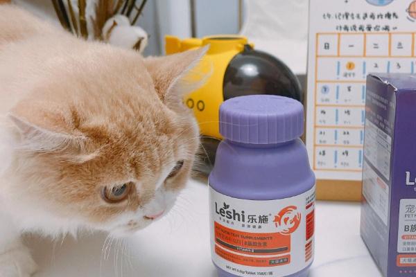 猫咪有牙结石如何解决，定期为它刷牙可以清洁牙垢