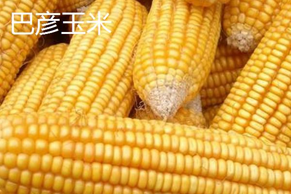 黑龙江省巴彦县的特产，常见的有狮子头、靰鞡草等