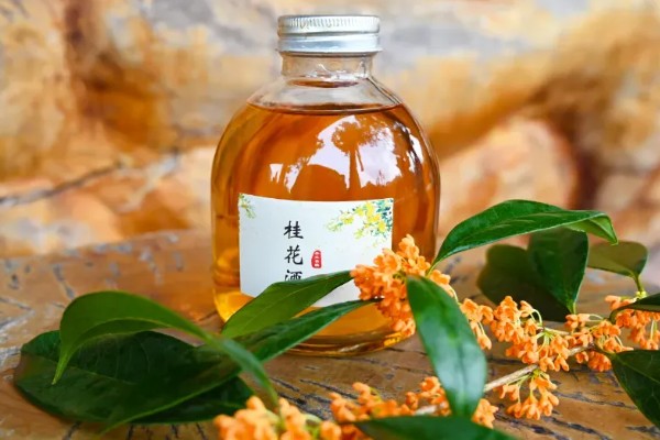 桂花香气有什么特点，有浓淡皆宜的特点